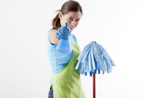 Professional carpet cleaning for a family home in Oho