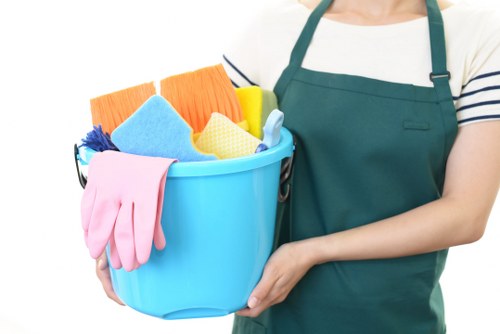 Professional move out cleaning for a flat in Oho