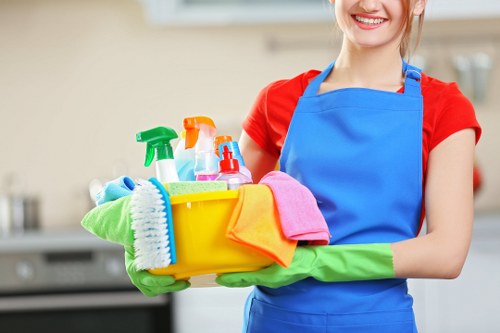 Careful spot cleaning for sofas and rugs in an Oho property