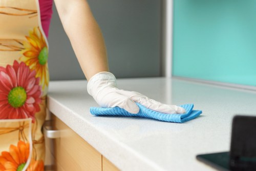 Professional steam carpet cleaning for a home in Oho