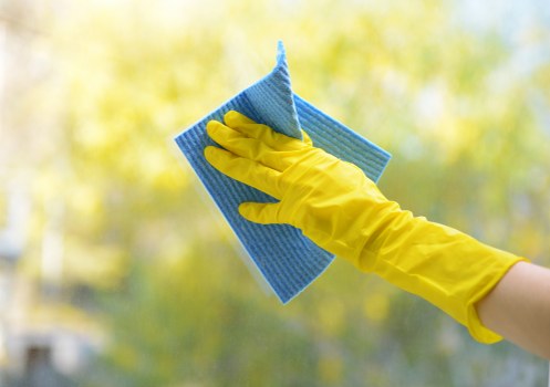 Upholstery cleaning equipment used for sofa cleaning in Oho