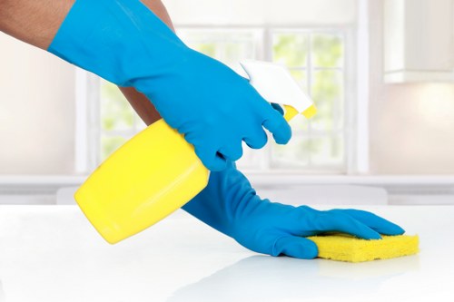 Illustration of inclusive Oho cleaning services website