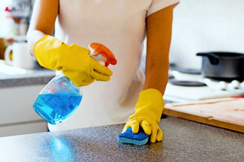 Cleaning team preparing a rental property in Oho for new occupants