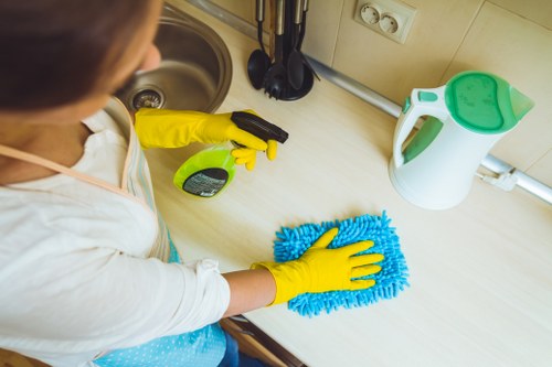 Professional cleaner dusting and vacuuming a living room in Oho
