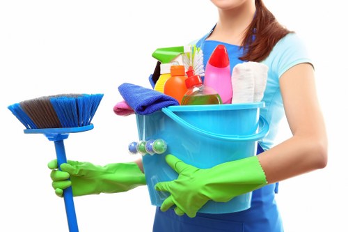 Bathroom domestic cleaning in an Oho residential property