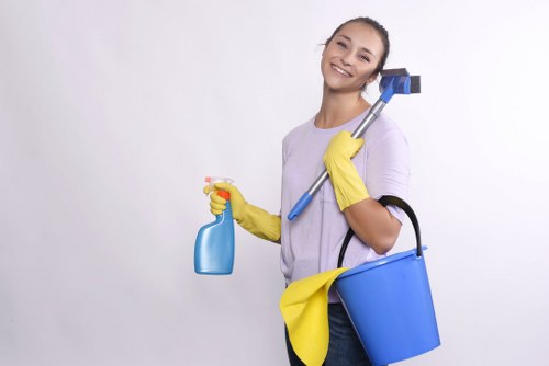 Deep cleaning support for a busy home in Oho