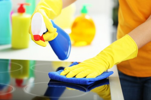 Local upholstery cleaner preparing a fabric sofa for deep cleaning in Oho