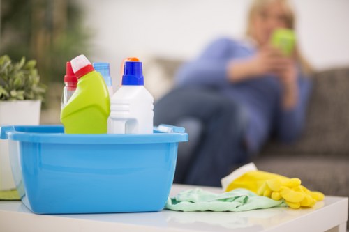 Weekly domestic cleaning visit in an apartment in Oho
