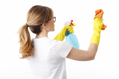 Cleaning equipment used for pet stain removal in Oho