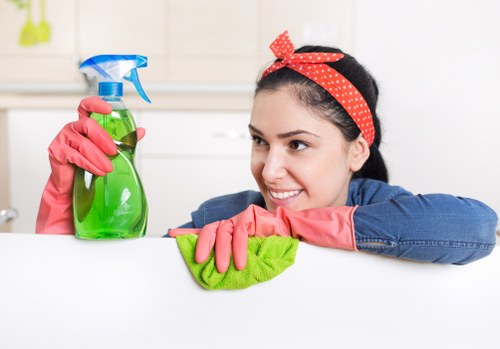 Local oven cleaning service for residential and commercial customers in Oho