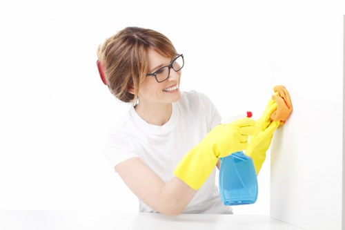 Hot water extraction cleaning equipment in an Oho property