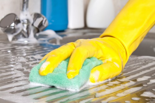 Detailed cleaning service in Oho focusing on kitchen and surface hygiene