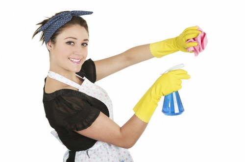 Deep mattress cleaning process for local homes and rental properties in Oho