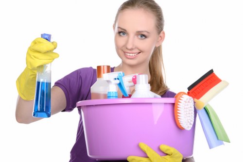 Fabric chair and sofa cleaning service for homes in Oho