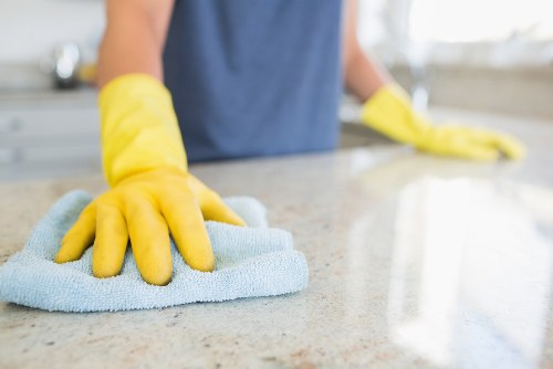Detailed kitchen and bathroom deep cleaning in Oho